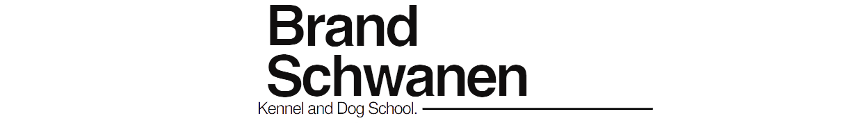 Brand Schwanen